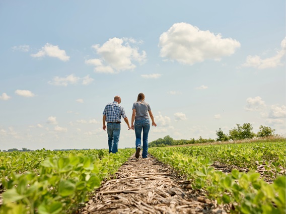 Farmer and advisor walking through a field of crops